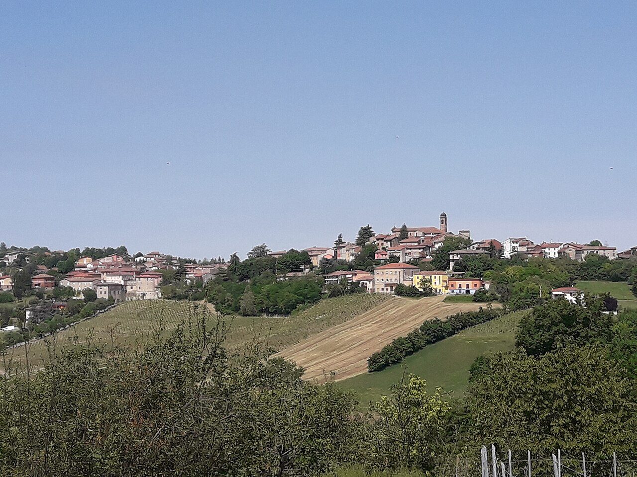 Ziano Piacentino